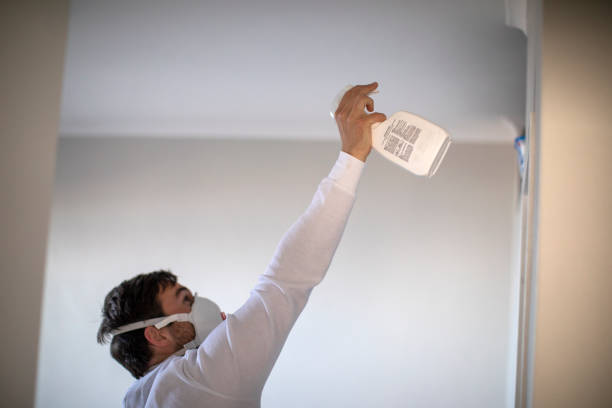 Professional Mold Removal in Arcade, GA
