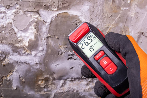 Best Residential Mold Removal  in Arcade, GA