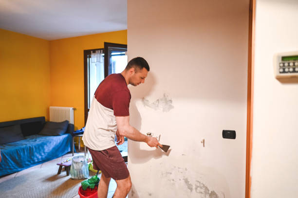 Home Mold Removal in Arcade, GA