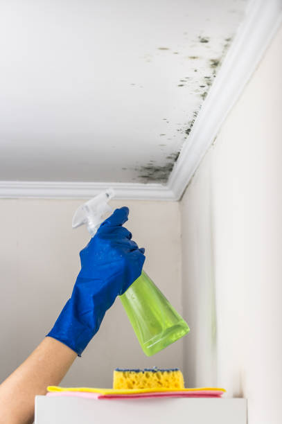 Best Crawl Space Mold Removal  in Arcade, GA